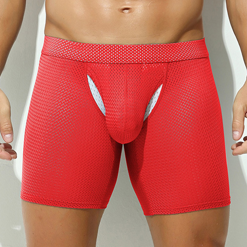 Sexy Lingerie Mens Mesh Underw - Long Leg Trunk Men recension och pris